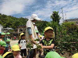 6��10���@���Ⴊ�����@��_22