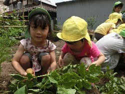 6��10���@���Ⴊ�����@��_23