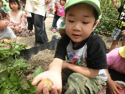 6��10���@���Ⴊ�����@��_24