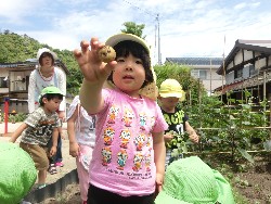 6��10���@���Ⴊ�����@��_25