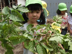 6��10���@���Ⴊ�����@��_26