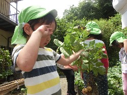 6��10���@���Ⴊ�����@��_27