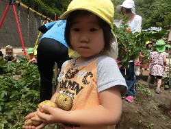 6��10���@���Ⴊ�����@��_28