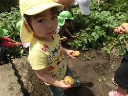 6��10���@���Ⴊ�����@��_29