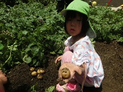 6��10���@���Ⴊ�����@��_31