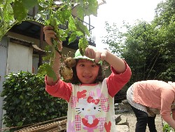 6��10���@���Ⴊ�����@��_33