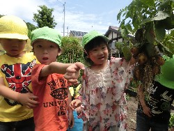 6��10���@���Ⴊ�����@��_34