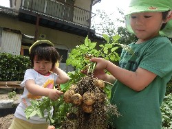 6��10���@���Ⴊ�����@��_35