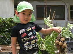 6��10���@���Ⴊ�����@��_36