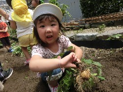 6��10���@���Ⴊ�����@��_37