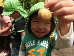 6��10���@���Ⴊ�����@��_38