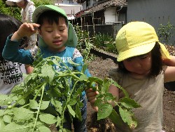 6��10���@���Ⴊ�����@��_40