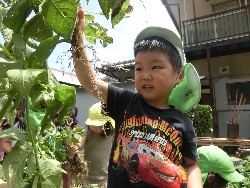 6��10���@���Ⴊ�����@��_41