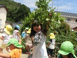 6��10���@���Ⴊ�����@��_43