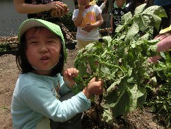 6��10���@���Ⴊ�����@��_45