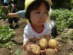 6��10���@���Ⴊ�����@��_46