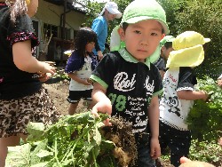 6��10���@���Ⴊ�����@��_47