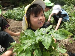 6��10���@���Ⴊ�����@��_48