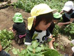 6��10���@���Ⴊ�����@��_49