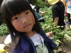 6��10���@���Ⴊ�����@��_50