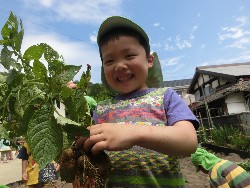 6��10���@���Ⴊ�����@��_52