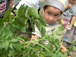 6��10���@���Ⴊ�����@��_53