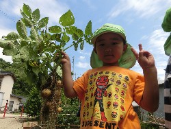 6��10���@���Ⴊ�����@��_54