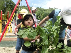 6��10���@���Ⴊ�����@��_55