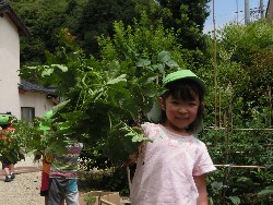 6��10���@���Ⴊ�����@��_56