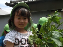 6��10���@���Ⴊ�����@��_57