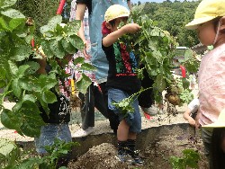 6��10���@���Ⴊ�����@��_58