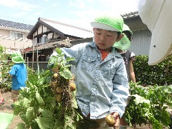 6��10���@���Ⴊ�����@��_59