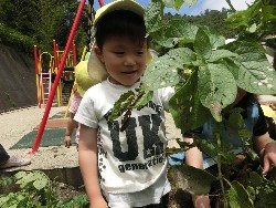 6��10���@���Ⴊ�����@��_60