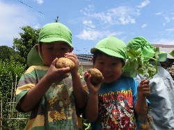 6��10���@���Ⴊ�����@��_61