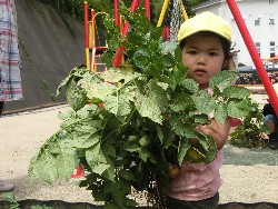 6��10���@���Ⴊ�����@��_62