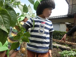 6��10���@���Ⴊ�����@��_63