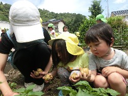 6��10���@���Ⴊ�����@��_64