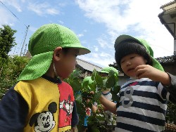 6��10���@���Ⴊ�����@��_65