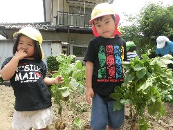 6��10���@���Ⴊ�����@��_67