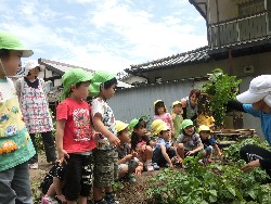 6��10���@���Ⴊ�����@��_71