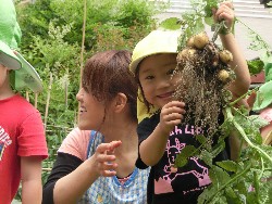 6��10���@���Ⴊ�����@��_73