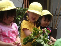 6��10���@���Ⴊ�����@��_74