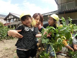 6��10���@���Ⴊ�����@��_75