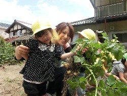 6��10���@���Ⴊ�����@��_76