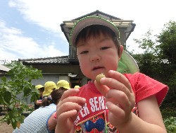 6��10���@���Ⴊ�����@��_77