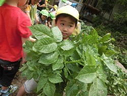 6��10���@���Ⴊ�����@��_78