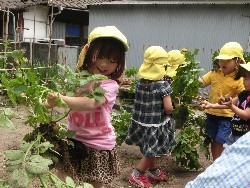 6��10���@���Ⴊ�����@��_79