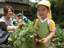 6��10���@���Ⴊ�����@��_80