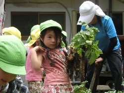 6��10���@���Ⴊ�����@��_81