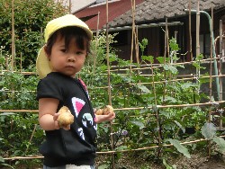 6��10���@���Ⴊ�����@��_82